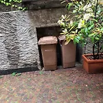 Lapimpaluino *